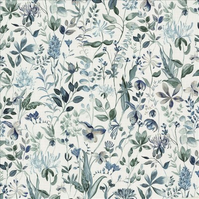 Kasmir MEADOW PARK      MINERAL         